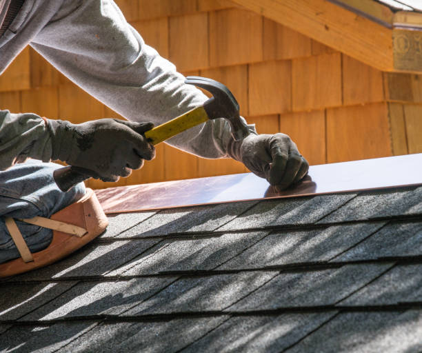 Best Roof Gutter Cleaning  in Centerburg, OH